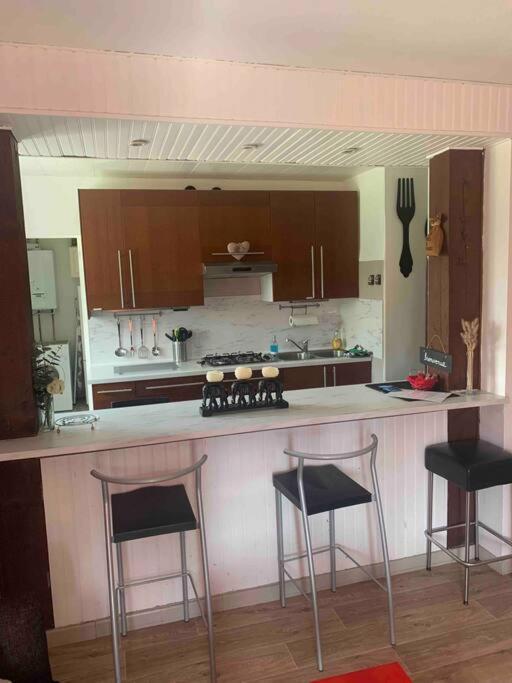 Villa 3 Chambres Parking Et Terrasse Plaisance-du-Touch Bagian luar foto